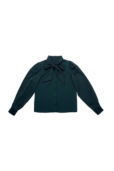 Jennifer Blouse Green #8602DG